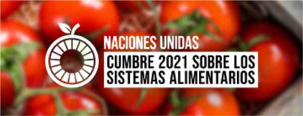 foro acerca de la cumbre de sistemas alimentarios de las naciones unidas 2021