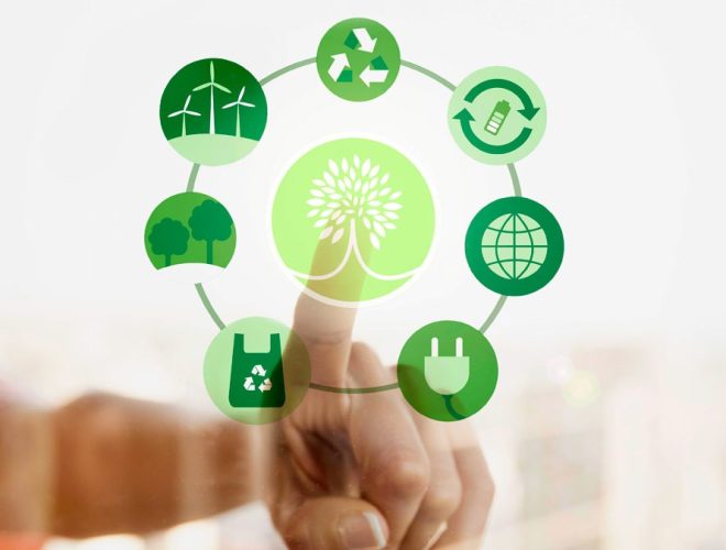 articulo-sostenibilidad-1