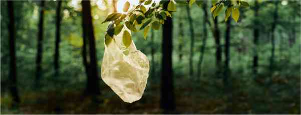 foro un global treaty in plastic pollution