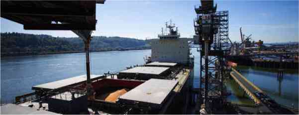 foro la importancia del rol de la industria de alimentos y bebidas de américa latina y el caribe en