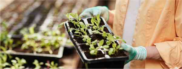 capacitación “introducción a la agricultura regenerativa”