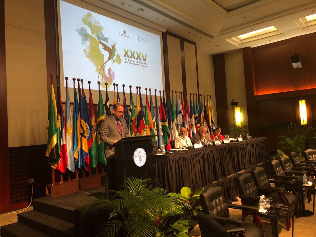 Alaiab-discurso-Fao-5